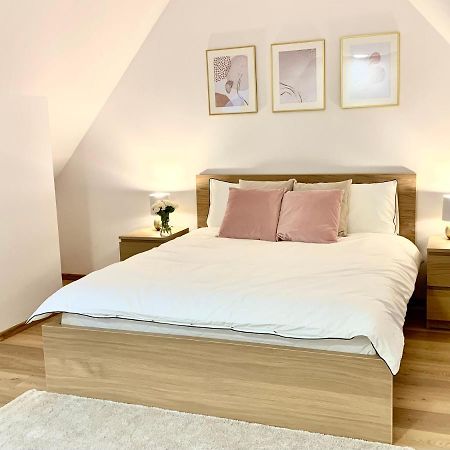 Hotel, Apartament Pod Zlotym Lwem W Samym Centrum Miasta Z Darmowym Parkingiem VII Клодзько Екстер'єр фото